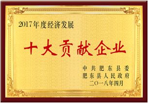 熱烈慶祝安徽皖信人力資源管理榮獲肥東縣經濟發展大會雙項獎，樹立人力資源服務新標桿